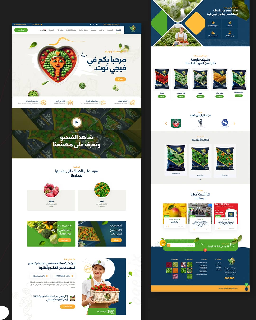 Hosseeny-Main-Carousel---Copy_02