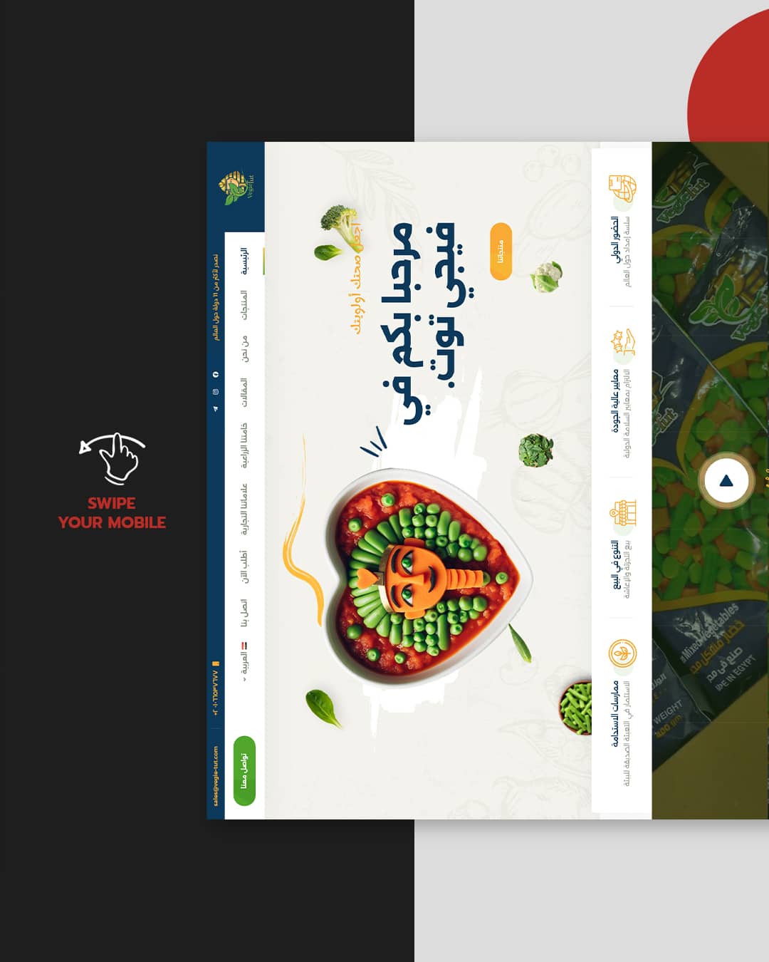 Hosseeny-Main-Carousel---Copy_03