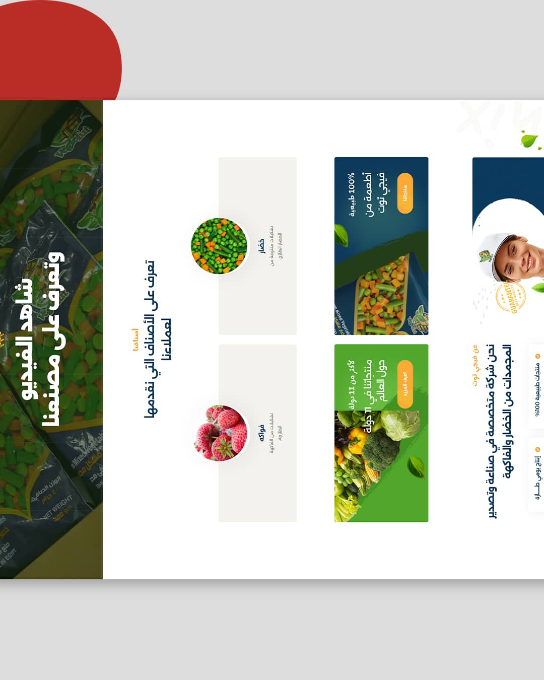 Hosseeny-Main-Carousel---Copy_04