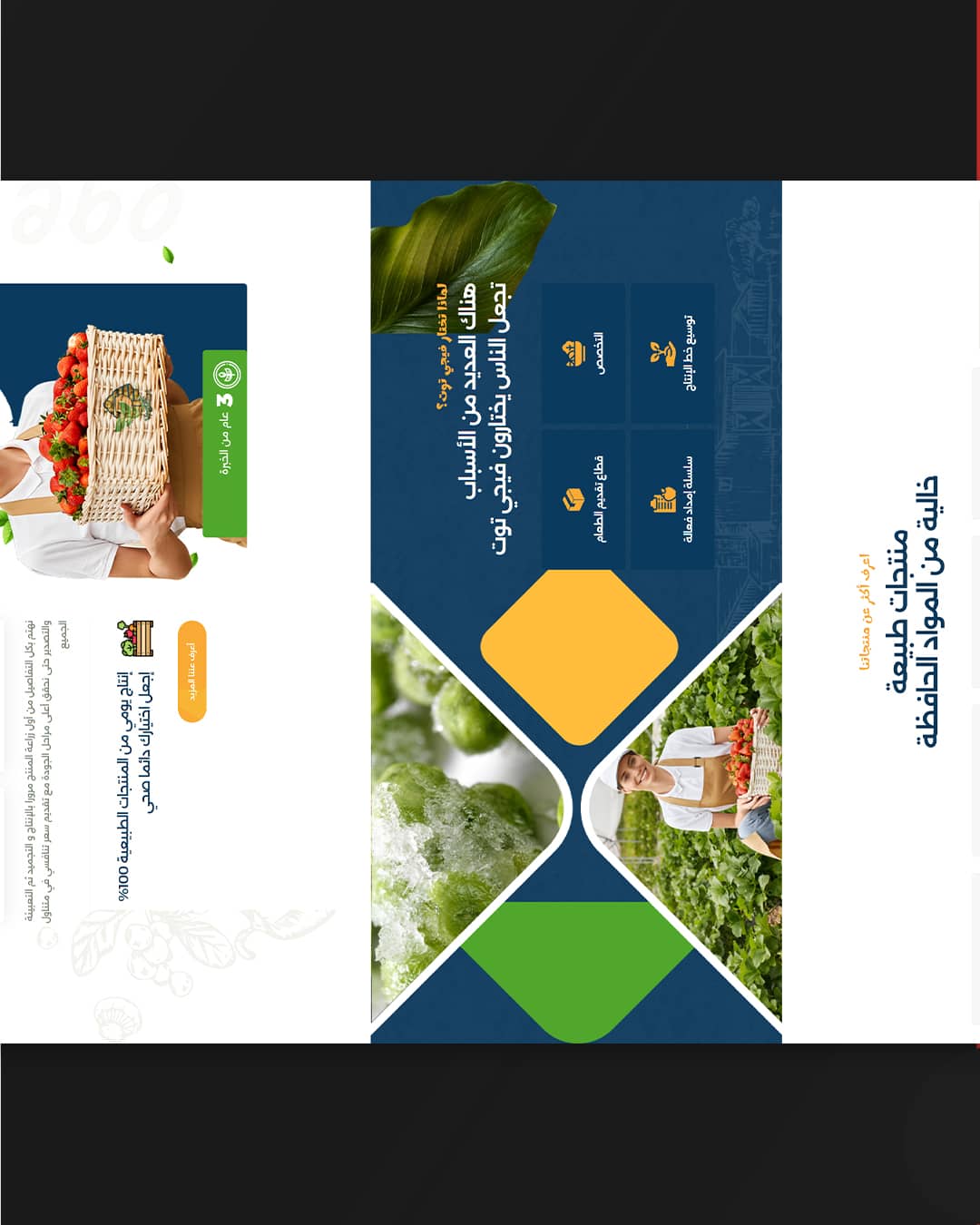 Hosseeny-Main-Carousel---Copy_05