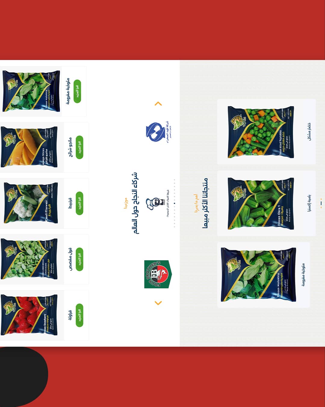 Hosseeny-Main-Carousel---Copy_06